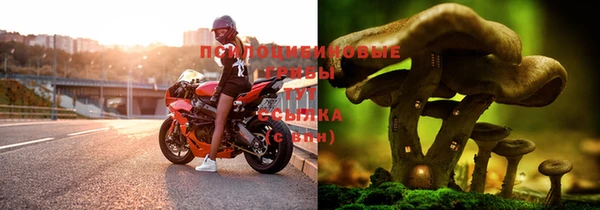 ECSTASY Белокуриха