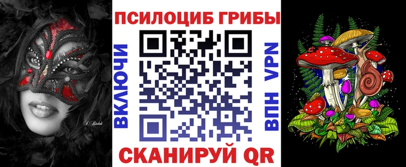 Псилоцибиновые грибы прущие грибы  Купить где  Шахунья 