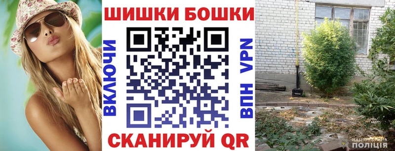 Купить где  Шахунья  Бошки марихуана THC 21% 